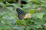Dcim4620/DSC_5543