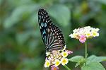 Dcim4620/DSC_5547