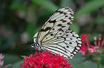 Dcim4620/DSC_5566