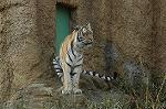 Dcim4626/DSC_6204