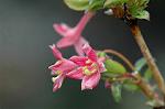 Dcim4631/DSC_6449