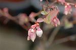 Dcim4632/DSC_6482