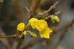Dcim4632/DSC_6536