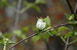 Dcim4641/DSC_7179
