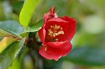 Dcim4641/DSC_7183