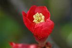 Dcim4641/DSC_7184