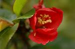 Dcim4641/DSC_7185