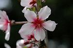 Dcim4641/DSC_7208