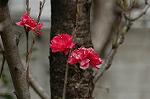 Dcim4641/DSC_7229