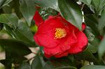 Dcim4642/DSC_7286