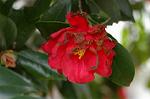Dcim4642/DSC_7287