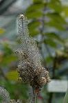 Dcim4642/DSC_7374