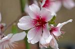 Dcim4643/DSC_7417