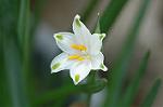 Dcim4643/DSC_7422