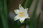 Dcim4643/DSC_7438