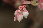 Dcim4643/DSC_7439