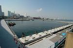 Dcim4645/DSC_7659