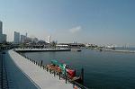 Dcim4645/DSC_7660