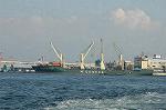 Dcim4646/DSC_7768