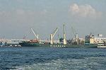 Dcim4646/DSC_7769