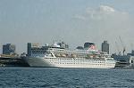 Dcim4646/DSC_7771