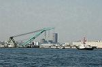 Dcim4646/DSC_7783