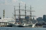 Dcim4646/DSC_7786