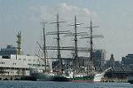 Dcim4646/DSC_7787