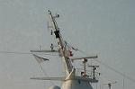 Dcim4647/DSC_7923