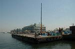 Dcim4651/DSC_8065