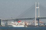 Dcim4652/DSC_8253