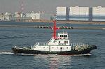 Dcim4655/DSC_8641