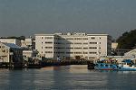 Dcim4674/DSC_3771