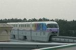 Dcim4684/DSC_2951
