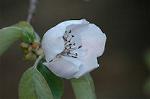 Dcim4685/DSC_1285