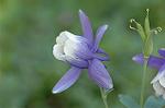Dcim4686/DSC_1470