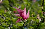 Dcim4687/DSC_1526