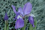 Dcim4687/DSC_1579