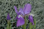 Dcim4687/DSC_1580