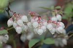Dcim4687/DSC_1617