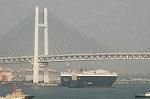Dcim4690/DSC_1918