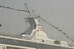 Dcim4691/DSC_1973