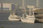 Dcim4691/DSC_2079
