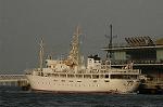 Dcim4692/DSC_2113