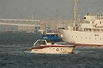 Dcim4692/DSC_2156