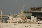 Dcim4692/DSC_2217