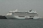 Dcim4694/DSC_3842