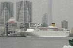 Dcim4696/DSC_2439