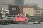 Dcim4696/DSC_2478