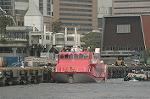 Dcim4696/DSC_2479